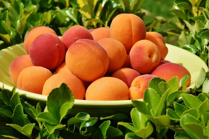 Diverse Culinary Traditions